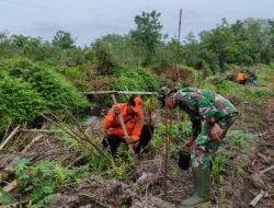 Satgas TMMD ke 120 Kodim 1015/Sampit Gelar Aksi penghijauan di Lokasi TMMD