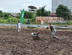 Babinsa Koramil 1015-04/Baamang Bantu Petani Membajak Sawah  Di Wilayah Desa Binaan