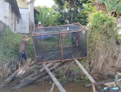 Satgas TMMD Ke 123 Kodim 1015/Sampit Bantu Warga Memasang Keramba