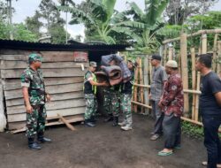 Satgas TMMD Kodim 0106/Ateng Bangun Harapan Baru bagi Keluarga Ibu Kasnawati di Desa Rutih