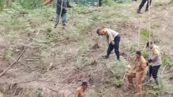 Danramil 04/Bintang Pimpin Aksi Penanaman Pohon dalam Program TMMD ke-126