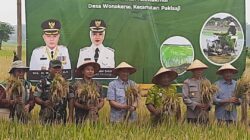 Gerakan Panen Bersama di Pakisaji: Harapan Baru di Tengah Tantangan Produktivitas Padi